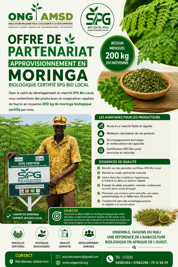OFFRE DE PARTENARIAT – APPROVISIONNEMENT EN MORINGA BIOLOGIQUE CERTIFIÉ SPG BIO LOCAL