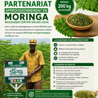 OFFRE DE PARTENARIAT – APPROVISIONNEMENT EN MORINGA BIOLOGIQUE CERTIFIÉ SPG BIO LOCAL